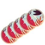 5 Bamboo Make up removal pads - with Wash Bag