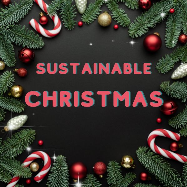 How to have a sustainable Christmas in 2022